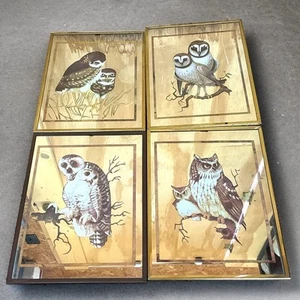 Vintage Brytone Mirror Works Inc Owl Portraits Set of 4 Brass Framed 9" x 12" - Picture 1 of 22