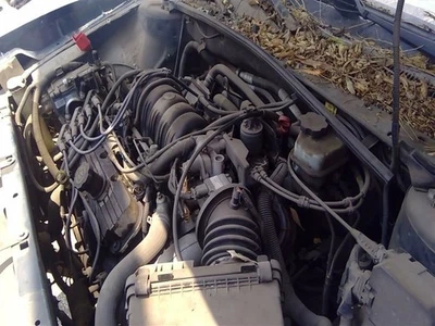 Intake Manifold 3.8L Lower Fits 97-08 GRAND PRIX 431248 - Image 1 of 4