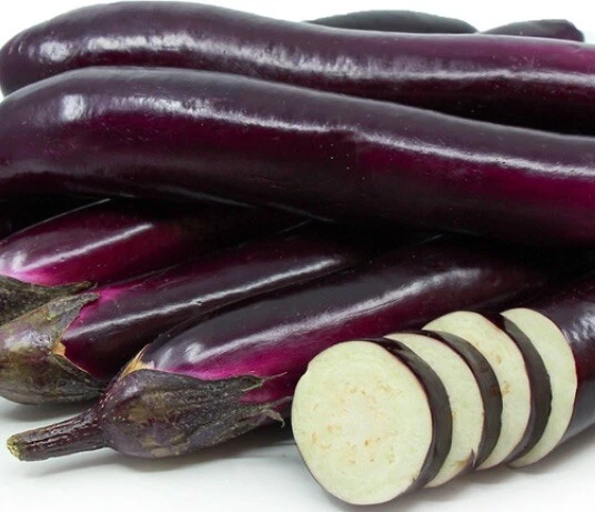 20 semillas orgánicas de berenjena púrpura japonesa, ENVÍO GRATUITO Foto 1 de 1