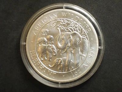 2008~ 1 Oz~ Silver Somalia Elephant Coin, 100 Shillings, Afican Wilelife Series - Image 1 of 4