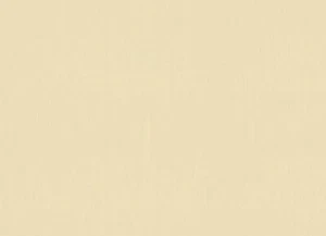 Papel pintado Rasch New Wave 805819 doble ancho 106 cm beige crema papel pintado no tejido no tejido - Imagen 1 de 5