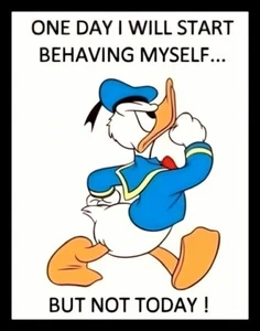 One Day I Will Start Behaving Myself But Not Today Donald Duck Disney MAGNET - Picture 1 of 1
