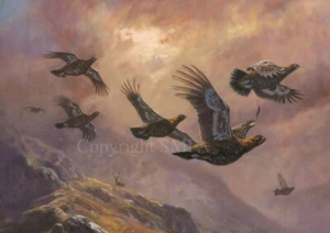 Grouse Christmas Cards pack of 10 'Evening Grouse' by John Trickett C677x - Picture 1 of 1