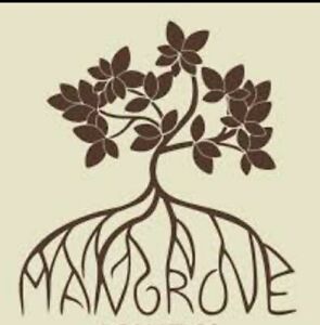 •22 Red Mangrove Live Plant seedling Propagule RHIZOPHORA MANGLE w/ roots Leaves