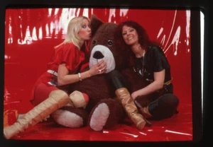 Abba Agnetha Faltskog & Frida photo hug stuffed animal Original Transparency - Picture 1 of 1