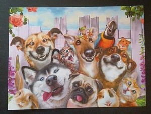 Funny Birthday Card - Picture 1 of 4