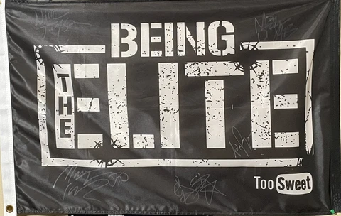 Being The Elite flag Autographed By Young Bucks, Cody Rhodes, Adam Page, Scurll Cover