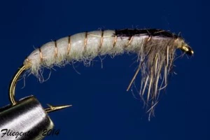 Fliegentom 3 pezzi ninfa ceca lunga n. 1