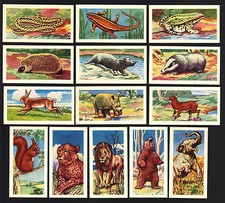 CIGARETTE/TRADE/CARDS. Millers Tea. ANIMALS & REPTILES. (1962).(Full Set of 25).