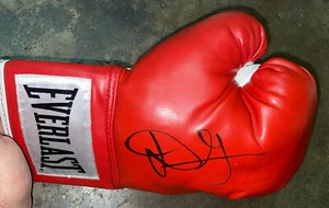 Danny Garcia Signed Everlast Boxing glove - Picture 1 of 1