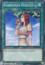 SDPL-EN024 Forbidden Chalice 1st Edition Mint YuGiOh Card