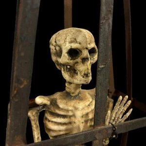 Old Vintage Wall Hanging Halloween Skeleton Iron Coffin Cage Scary - Picture 1 of 22