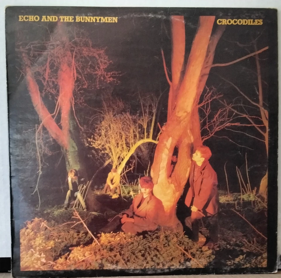 ECHO AND THE BUNNYMEN КРОКОДИЛЫ 1980 WEA/KOROVA 600075 AUS НОВАЯ ВОЛНА ED 1 LP - Изображение 1 из 4