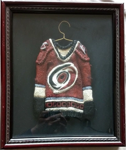 PLASTER JERSEY FRAMED NHL STARS & HURRICANES Cover