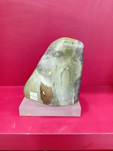 Rare Powerful energy Green petrified wood with agate crystal polished 1266gr 500 - Picture 1 of 5