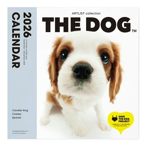 THE DOG 2026 Wall Calendar Cavalier King Charles Spaniel (Large Format) - Picture 1 of 7