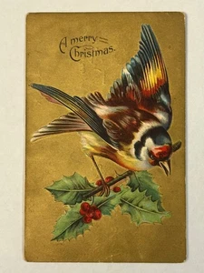 Antique A Merry Christmas Embossed Bird Holly Postcard Gold Gilded Posted 1908 - Picture 1 of 3