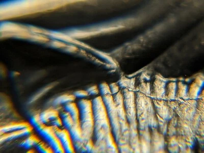 2020-D Die Break US Mint Error America the Beautiful Quarter - Image 1 of 4