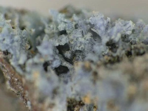 NICKERNICHIT aus Eifel Mts, Germany * SELTENE ART LOKALITÄT EXEMPLAR * 1,2 cm - Bild 1 von 4