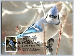 #5537 Winter Scenes Blue Jay FDC Maxi Card w/Pictorial Cancel - Picture 1 of 2