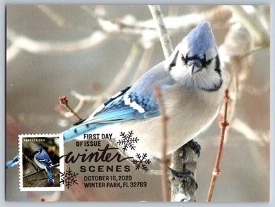 #5537 Winter Scenes Blue Jay FDC Maxi Card w/Pictorial Cancel - Image 1 of 2