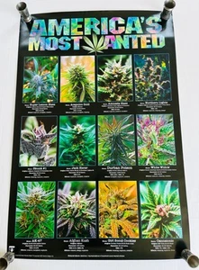 Americas Most Wanted Cannabis Large Wall Poster College Collection 24x36 inch - Picture 1 of 6