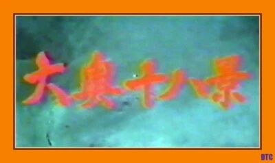 Submission of the Warlord's Women - Very Vintage Japanese Cult Film - Rare OOP! - Image 1 of 2