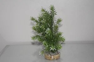 Aquarium Tropical White & Green Bush Plant 6 x 6 x 23 cms - Picture 1 of 2
