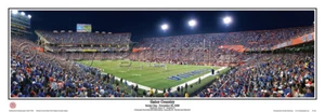 Póster panorámico Florida Gators The Swamp Gator Country 2009 sin marco 5035 - Imagen 1 de 1