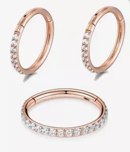 Piercing Clicker Ring Universal Ohr Scharnier Segment Nase Lippe Intim - Bild 1 von 1