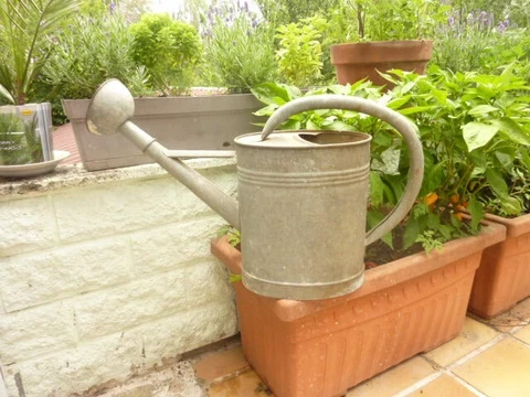 20th Century French Watering Can with Gray patina /  Garden Zinc Cover