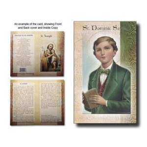 Saint Dominic Savio Biography Card 80 x 135mm Folded, Gold Foiled - Picture 1 of 1