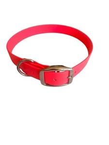 Waterproof All Weather Dog Collar 1 Inch - Picture 1 of 13