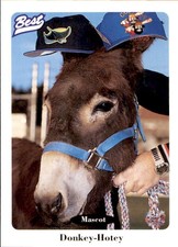 1996 Butte Copper Kings Best #8 Donkey-Hotey Mascot Mr. Ed Baseball Card  - NM