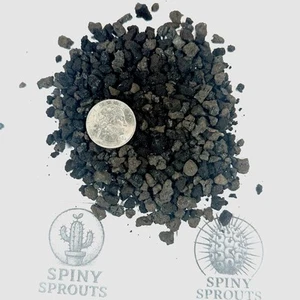 2 Gal-14lb Black Hawaiian Lava Rock FINE 1/4” Top Dressing / Soil Cactus Bonsai - Picture 1 of 5