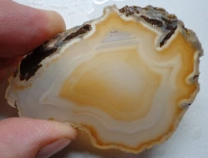 WRG- Limb Cast Water Line Agate Slab 33 grams Lapidary Old Stock Wyoming - Picture 1 of 5