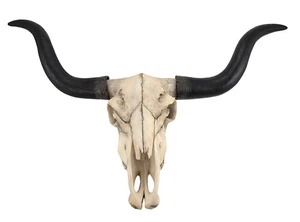 Huge Longhorn Cow Skull 27in Wide Resin Long Horn Steer Wall Hanging Decor - Picture 1 of 8