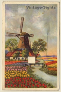 Dutch Windmill & Tulips (Vintage Liporello PC 1954) - Imagen 1 de 1