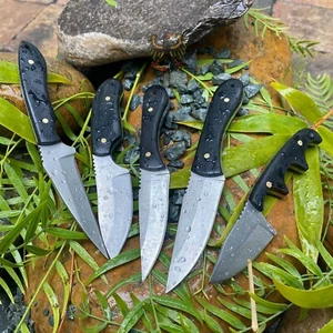 RITE EDGE FIVE PIECE SET FIXED BLADE KNIFE COOL KNIVES - Picture 1 of 9
