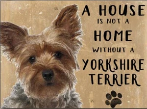 A House Is Not A Home..Yorkshire Terrier fridge magnet   (og)   - Picture 1 of 1