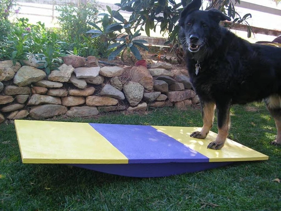 Dog Agility Equipment Rocker/ Wobble / Teeter Board - Image 1 of 1