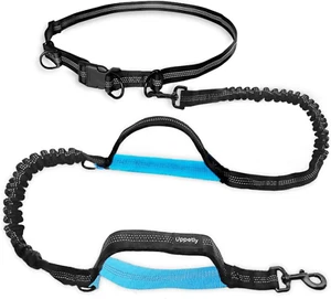 Hands Free Dog Running Leash with Adjustable Waist Belt, Dual Handle Elastic Bun - Picture 1 of 12