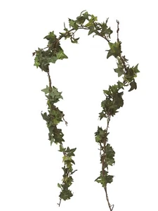 (01443-21475) ARTIFICIAL PLANTA COLGANTE MATA HIEDRA IVY GUIRNALDA VERDE OSCURO - Imagen 1 de 1