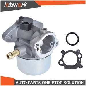 Labwork Carburetor For 497586 498170 498254 498255 498966 698444 Carburetor - Picture 1 of 10