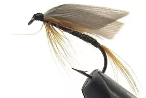 10 Flies - Wet Ginger Quill on a Bronze 10 Mustad Hook - Picture 1 of 1