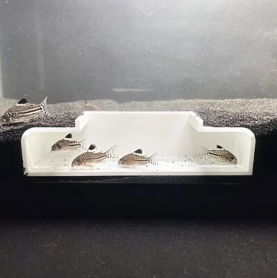 Fish Tank Underground Hideout Cave Aquarium Catfish Hide Decorations Accessories - Image 1 of 4