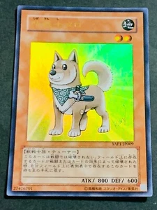 Yugioh Cards YAP1-JP009 Japanese Shiba Warrior Taro Ultra Rare - Picture 1 of 7