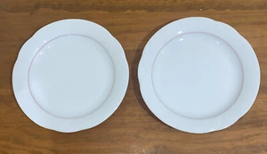 2 Arzberg Corso *Nizza* Dinner Plates - Made In Germany - 25.5cm Diameter - Picture 1 of 4