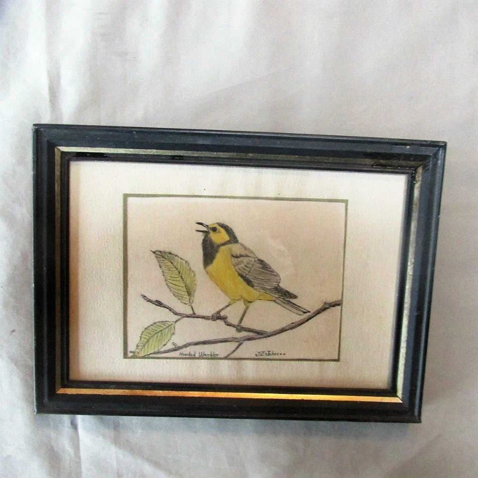 Dibujo de pájaros Jay J Johnson a los 13 años, Marblehead, MA, ahora listado artista de vida silvestre Foto 1 de 1