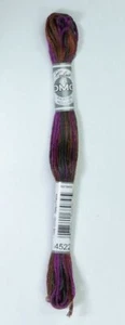 DMC Coloris Thread, Embroidery Floss 8m Multi Colour 4522, NUIT CANADIENNE - Bild 1 von 1